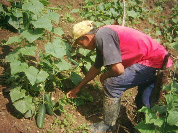 Día del Campesino 02 Día del Campesino 02