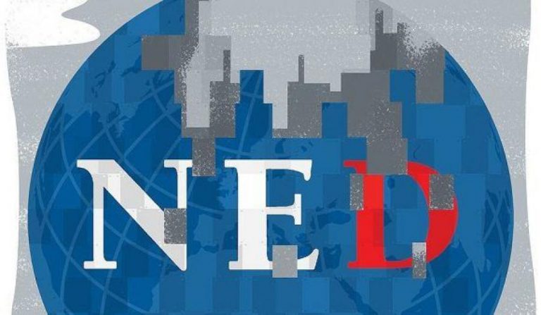 NED LOGO