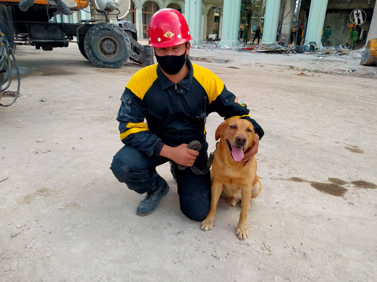 Brigada canina - hotel Saratoga Brigada canina - hotel Saratoga
