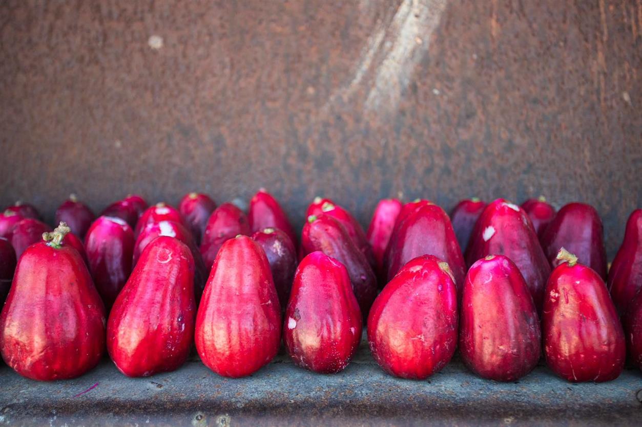 Pera o manzana de agua Pera o manzana de agua