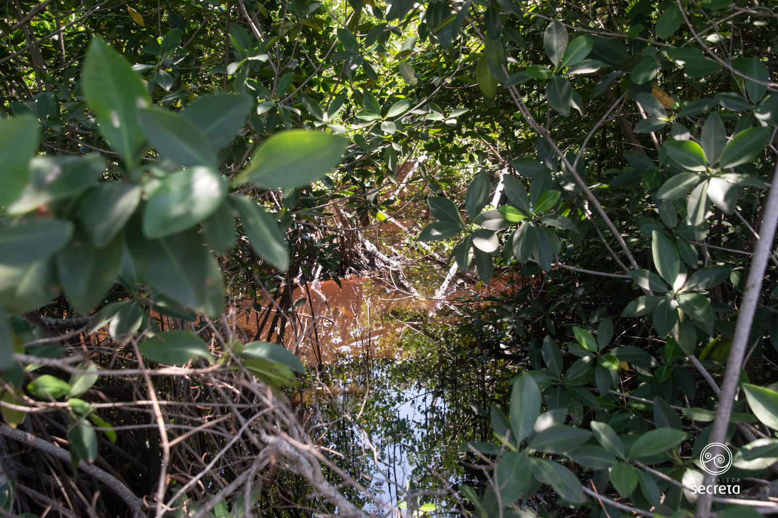 RINCÓN DE GUANABO RINCÓN DE GUANABO