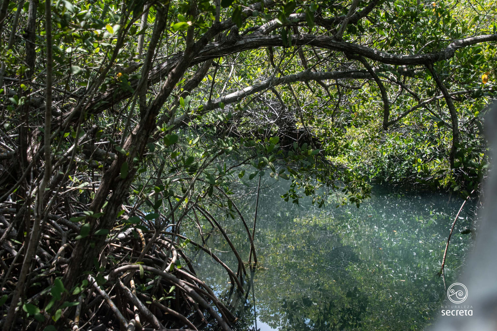 RINCÓN DE GUANABO RINCÓN DE GUANABO