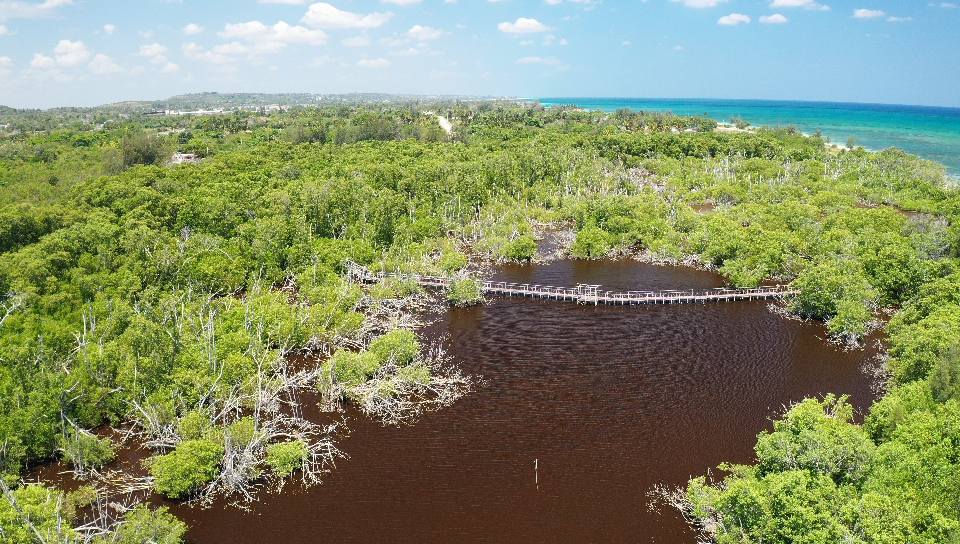 RINCÓN DE GUANABO RINCÓN DE GUANABO
