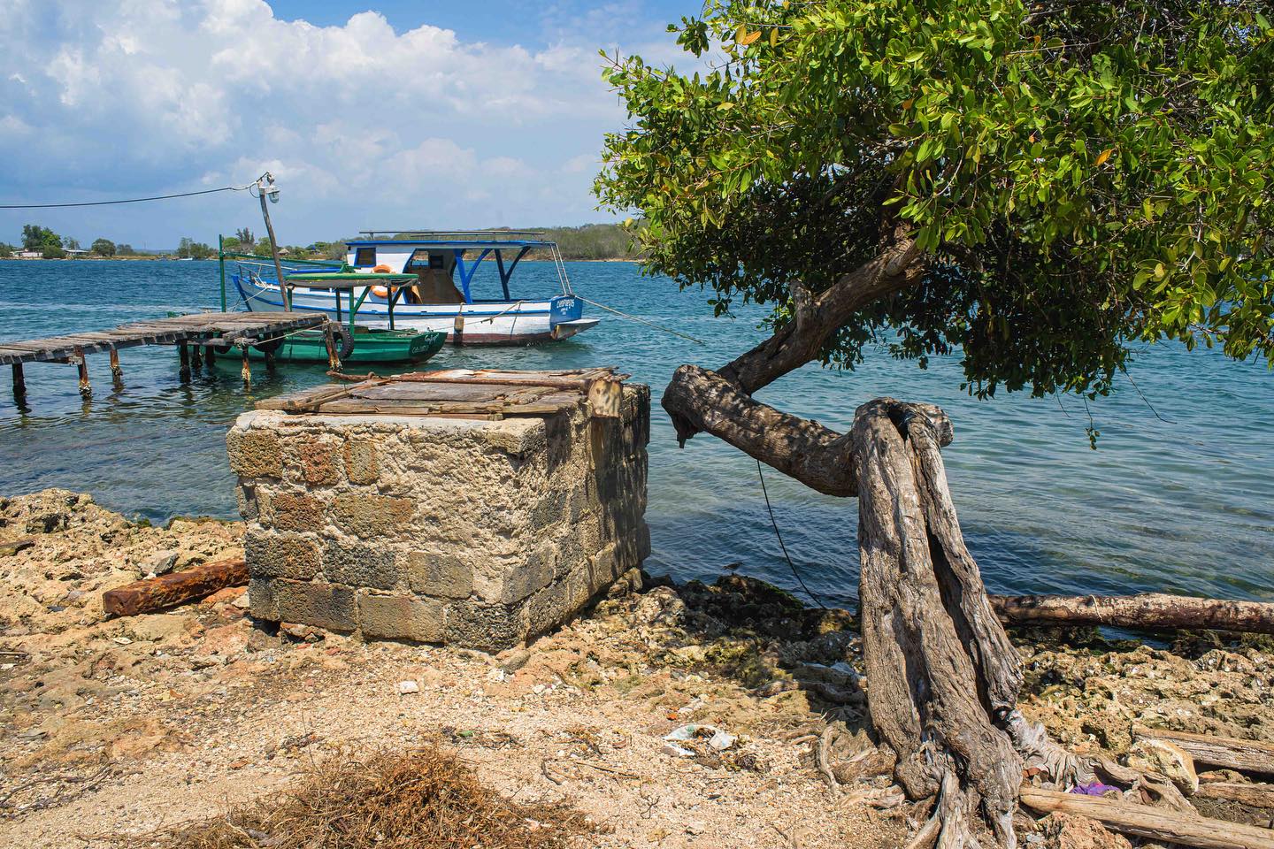 Del chinchorro al tapete Del chinchorro al tapete
