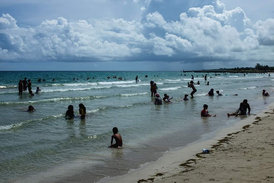 El Tren de la Playa Recesa y Regresará (Naturaleza Secreta de Cuba) El Tren de la Playa Recesa y Regresará (Naturaleza Secreta de Cuba)