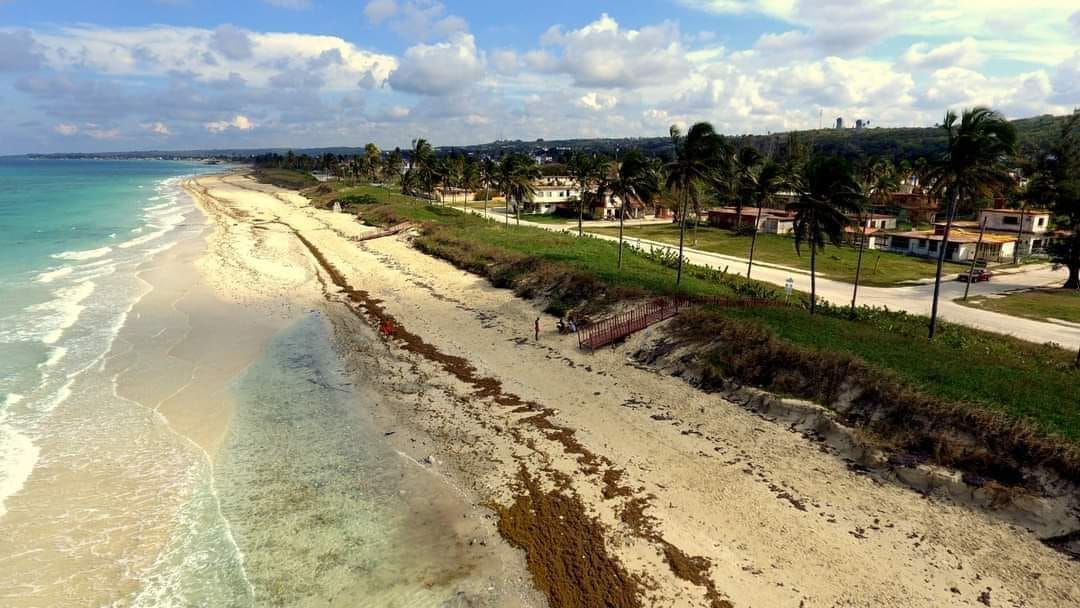 El Tren de la Playa Recesa y Regresará (Naturaleza Secreta de Cuba) El Tren de la Playa Recesa y Regresará (Naturaleza Secreta de Cuba)