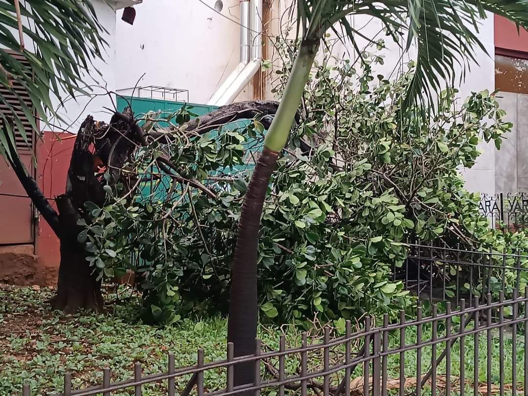 En el entorno del edificio de la radio y la televisión. (Redes sociales) En el entorno del edificio de la radio y la televisión. (Redes sociales)