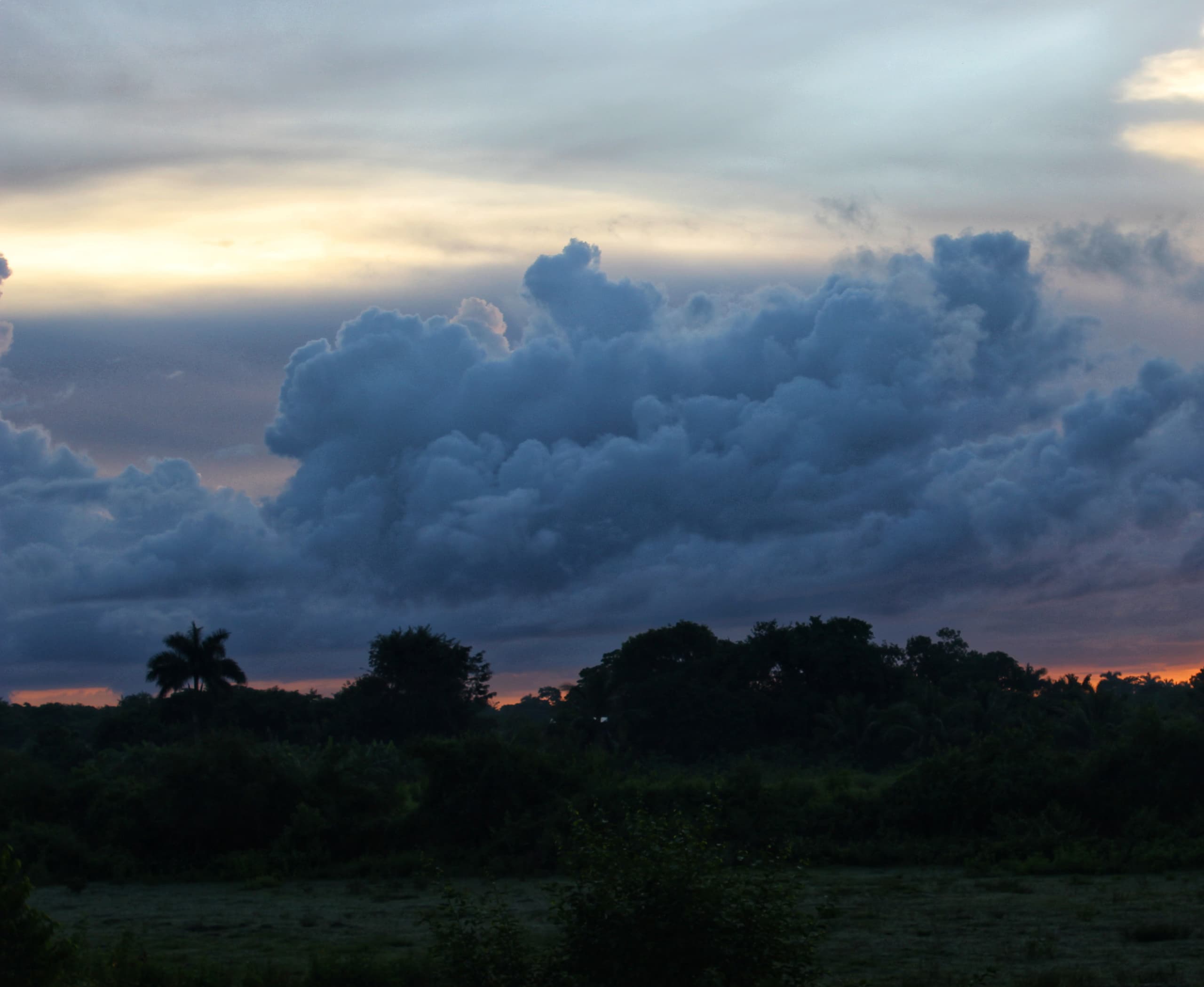 El año del avistamiento extraterrestre El año del avistamiento extraterrestre