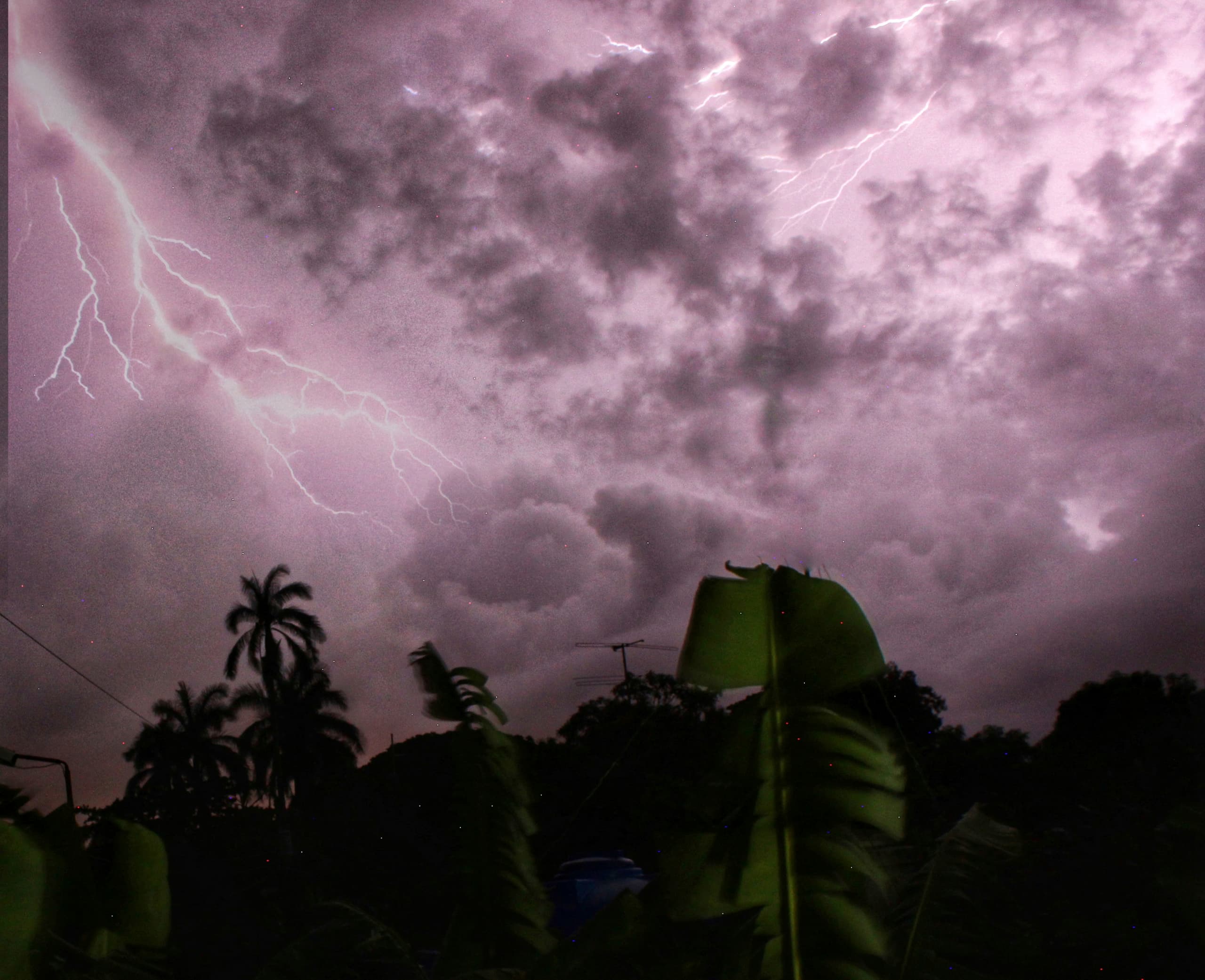 El año del avistamiento extraterrestre El año del avistamiento extraterrestre