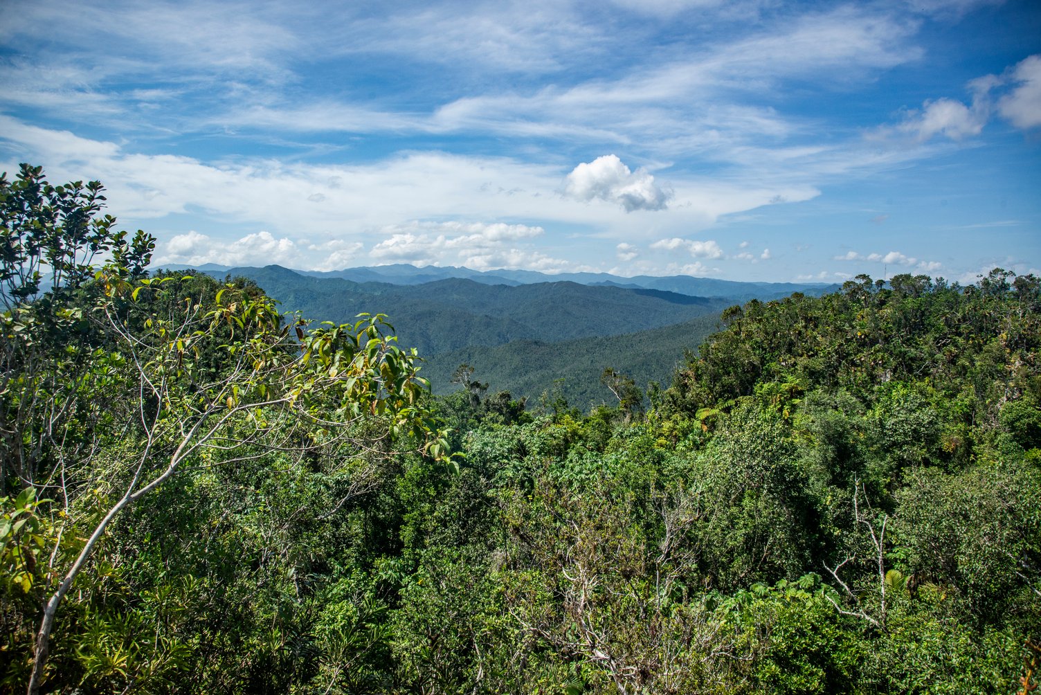 Vista al occidente desde la cima del Yunque Vista al occidente desde la cima del Yunque