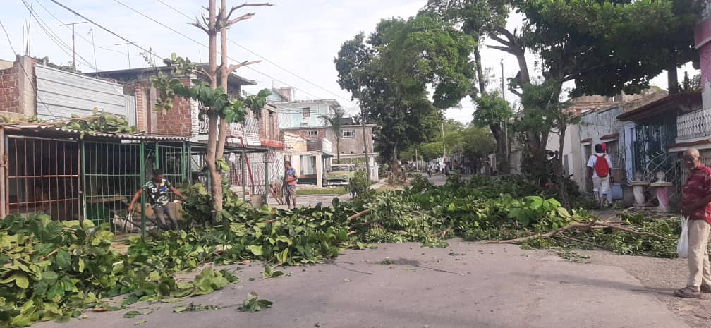 Poda de árboles en Santiago de Cuba ante amenaza del Huracán Melissa