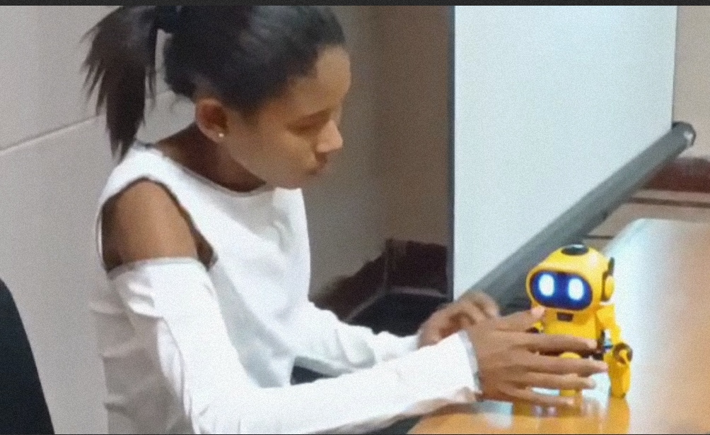 Robótica Educativa