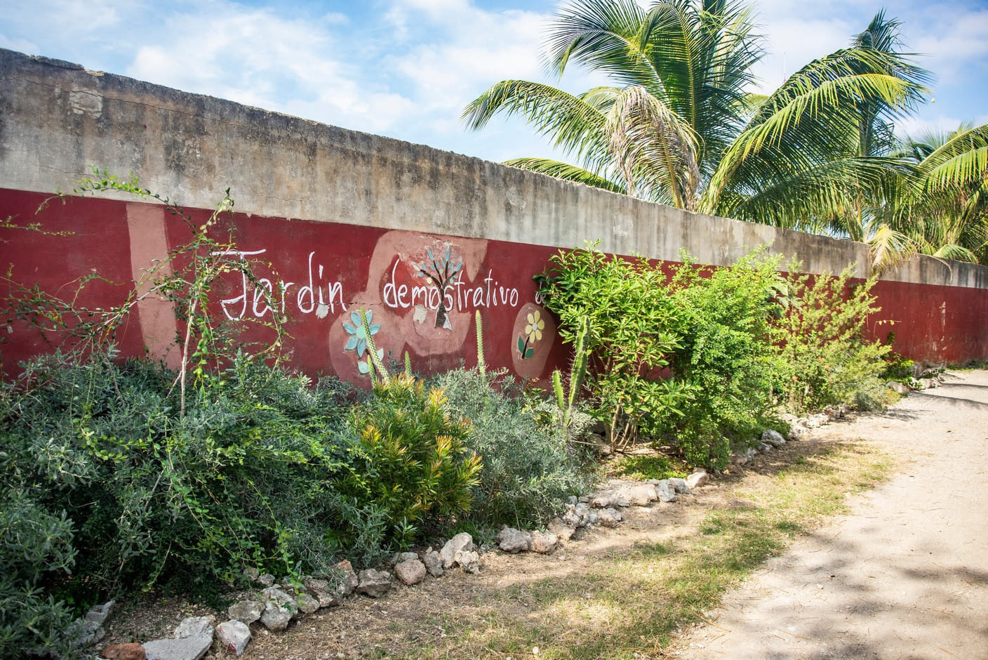 Ocho metros de botánica costera Ocho metros de botánica costera